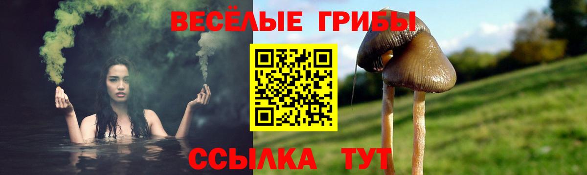 Алапаевск  где купить   Вход с VPN  Псилоцибиновые грибы Magic Shrooms 